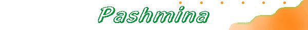 Pashmina